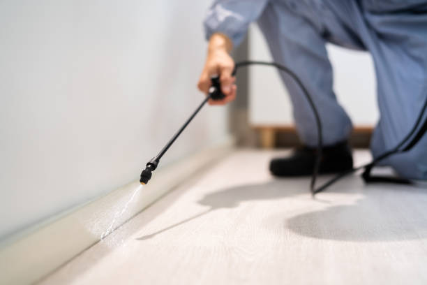 Licensed Ant Control service in Washington County County, OH - Nex Pest Control